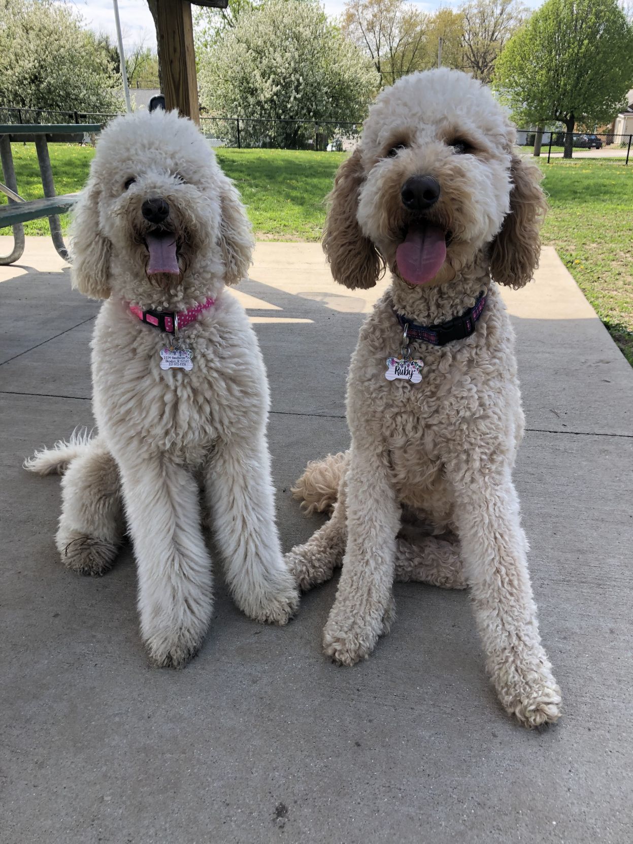 Rosie and Ruby